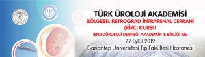 Turk_uroloji_akademisi_rirc_kursu