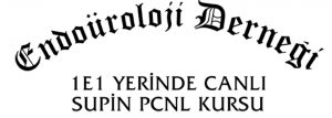 tesekkur_belgesi_endouroloji_banner